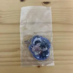 呪術廻戦 五条悟 虎杖悠仁 伏黒恵 ぴたでふぉめ アクキー