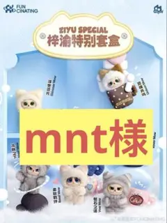 ギフトボックス 梓渝 ZIYU SPECIAL GISMOW 特別ギフトボックス