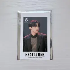 パンダねこ様 リクエスト 2点 まとめ商品