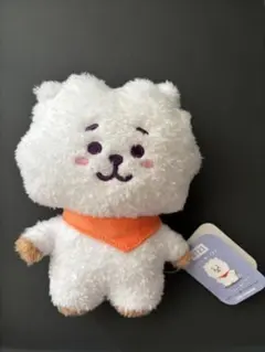 2025年最新】たっとん bt21 rjの人気アイテム - メルカリ