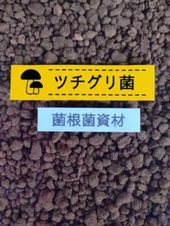 mihoco3様 リクエスト 2点 まとめ商品
