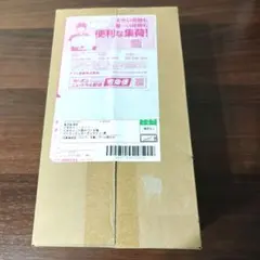 【完全未開封シュリンク付き】スペシャルBOXポケモンセンタートウホク