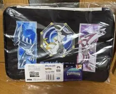 ポケットモンスタープラチナムザッカ ポケットいっぱいボックス　シンオウ地方のサムネイル