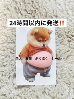 犬　柴犬　お腹　おなか　ぷっくり　スクイーズ　シール　3D ステッカー　いぬ