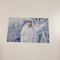 sector17 タワレコ 購入特典 ウォヌ