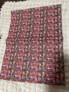 Item thumbnail for item 41a6f5b9-2f7d-41a7-b523-3b9e794e6099