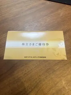 KNT CTホールディングス 株主優待券 ご旅行優待券 2枚のサムネイル