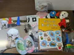 新品・2021年・サンエックス・リラックマ・ころころコロニャ・その他 