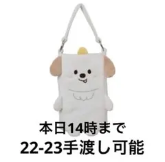 RIIZE 東京ドーム アントン ファンライトバッグ ペンライトバッグ RIIZE RIIZING LOUD 東京ドーム ペンライト ファンライト ポーチ
