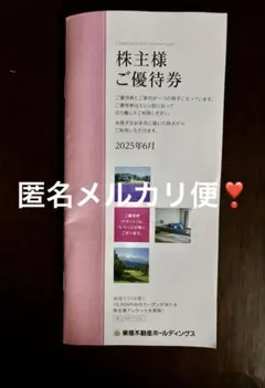 東急不動産ホールディングス 株主優待券　1冊