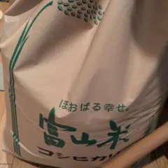 令和7年度 三重県産コシヒカリ 玄米 20kg（10kg ×2袋） - メルカリ