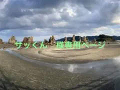 サッくん様専用ページ