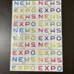 NEWS EXPO 20th Anniversary Live 2023 パンフ