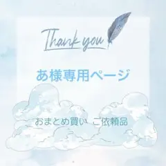 あ様専用ページ リクエスト 11枚 まとめ売り