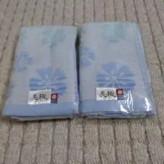 Item thumbnail for item 4c8a834a-9e8f-44b5-b140-a626a2c2c59b