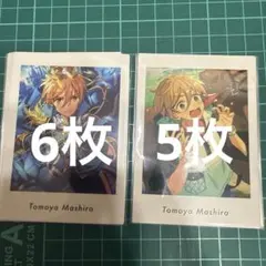 ぱしゃっつ　真白友也