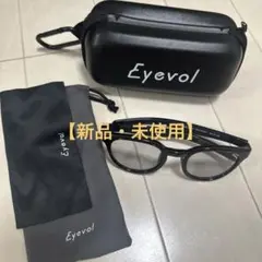 【土日値下げ】三津家貴也 × Eyevol コラボサングラスLEIFER Ⅲのサムネイル