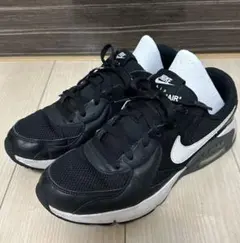 Nike Air Max スニーカー 27センチ中古品