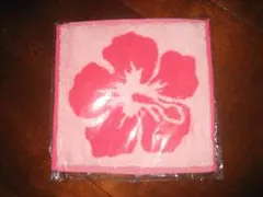 Item thumbnail for item 743a4768-0310-4ad4-9971-0a55e636aa56