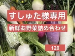 すしゅた様専用