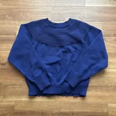 ニット ブルーベリー　紫　パープル　秋冬　セーター　厚手　ワークマンプラス　洗濯