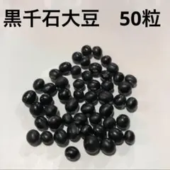 3911○600粒以上山椒の種京都丹波産①送込￥680［260520］ - メルカリ
