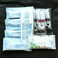 ホテル アメニティ ☆ 使い捨て ヘアブラシ 10本 【新品＆未開封】