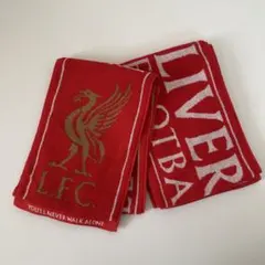リバプールプレミアチャンピオンリーグ 24/25タオルマフラー新品未使用 優勝記念品/日本未発売】 リバプール チャンピオン 24/25 赤
