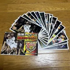 阪神タイガース　ポストカード