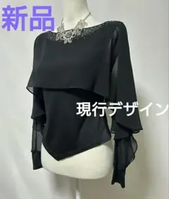 パピヨン 社交ダンス ドレス M 黒 レース長袖 パッド付き ステージ衣装 パピヨン 社交ダンス ドレス M 黒 レース長袖 パッド付き ステージ衣装
