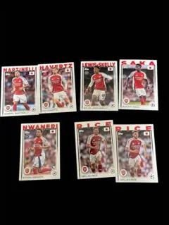 Item thumbnail for item 8a0e6458-f262-4e70-8db6-049ec29bb826