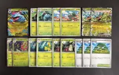 メガフシギバナex デッキパーツ