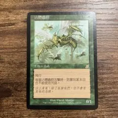 MTG ザンティッドの大群 繁体中国語 - メルカリ