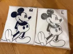 Item thumbnail for item 34ac8a0e-23a9-4549-b475-b27f0b0837c7