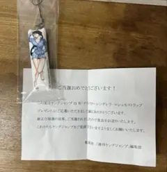 未開封 デリバリーシンデレラ マシュモストラップ 懸賞当選品のサムネイル