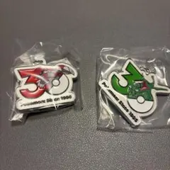 30周年メタルチャーム めじるしアクセサリー レックウザ グラードン