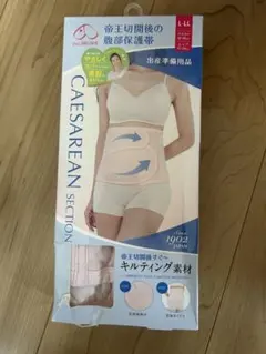 Item thumbnail for item 2f0ff920-11dd-4884-bdb4-5e5e86f2c91c