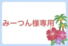 みーつん様専用です。