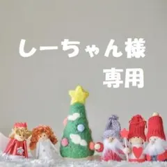 【しーちゃん様　専用】