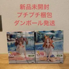 『ウマ娘プリティーダービー』 スマートファルコン・コパノリッキー