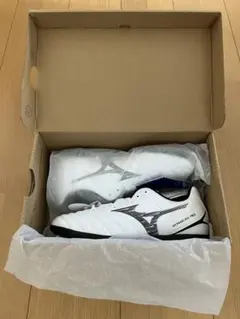 Mizuno LIGHTFREVO TRAINER CR 23.0cm WIDE - メルカリ