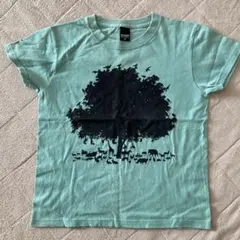 graniph ミントグリーン Tシャツ SS