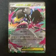 ポケモンカード メガクチートex RR