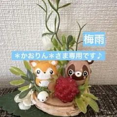 2026年最新】かおりん様専用の人気アイテム - メルカリ