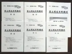 【解き跡消去済】早稲アカ 国立開成実戦模試 中3 夏期集中特訓のサムネイル