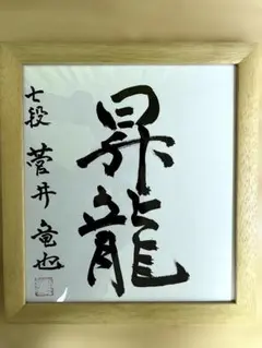 直筆/極美品】中村太地 七段 色紙『進取』特殊額装 - メルカリ