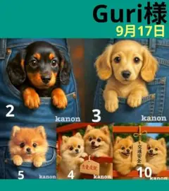専用