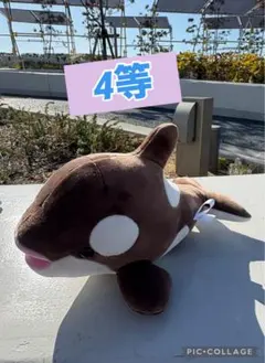 最終値下げ　神戸須磨シーワールド　シャチ　オルカ　バレンタイン限定カラー　4等