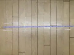 モレリア 靴紐（白）110cmのサムネイル