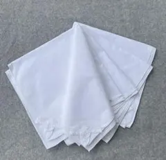 Item thumbnail for item 88ab019a-56a8-4bd7-9ca3-0d3ca88ae8eb